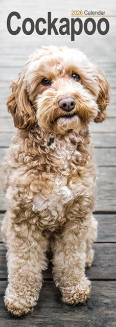 Cockapoo Slim Calendar 2026  Dog Breed Slimline Calendar - 12 Month 9781804607992 